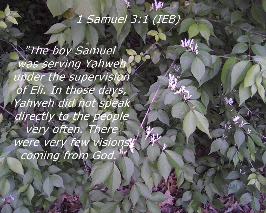 1 Samuel 3:1 Image
