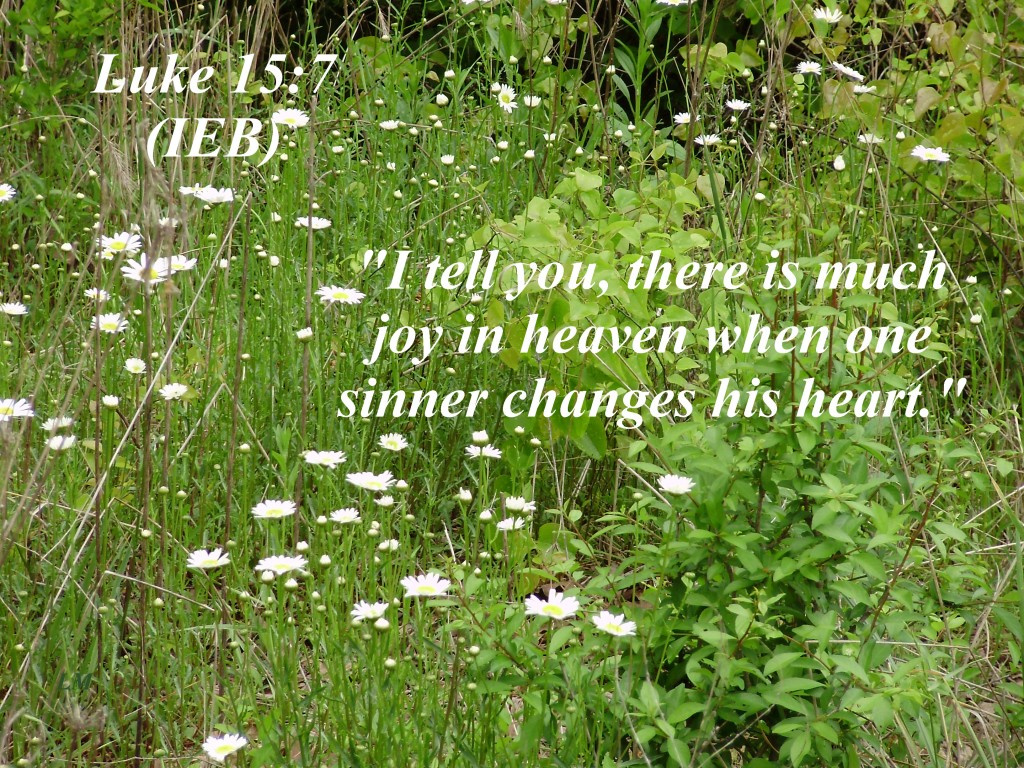 Luke 15:7 Photo
