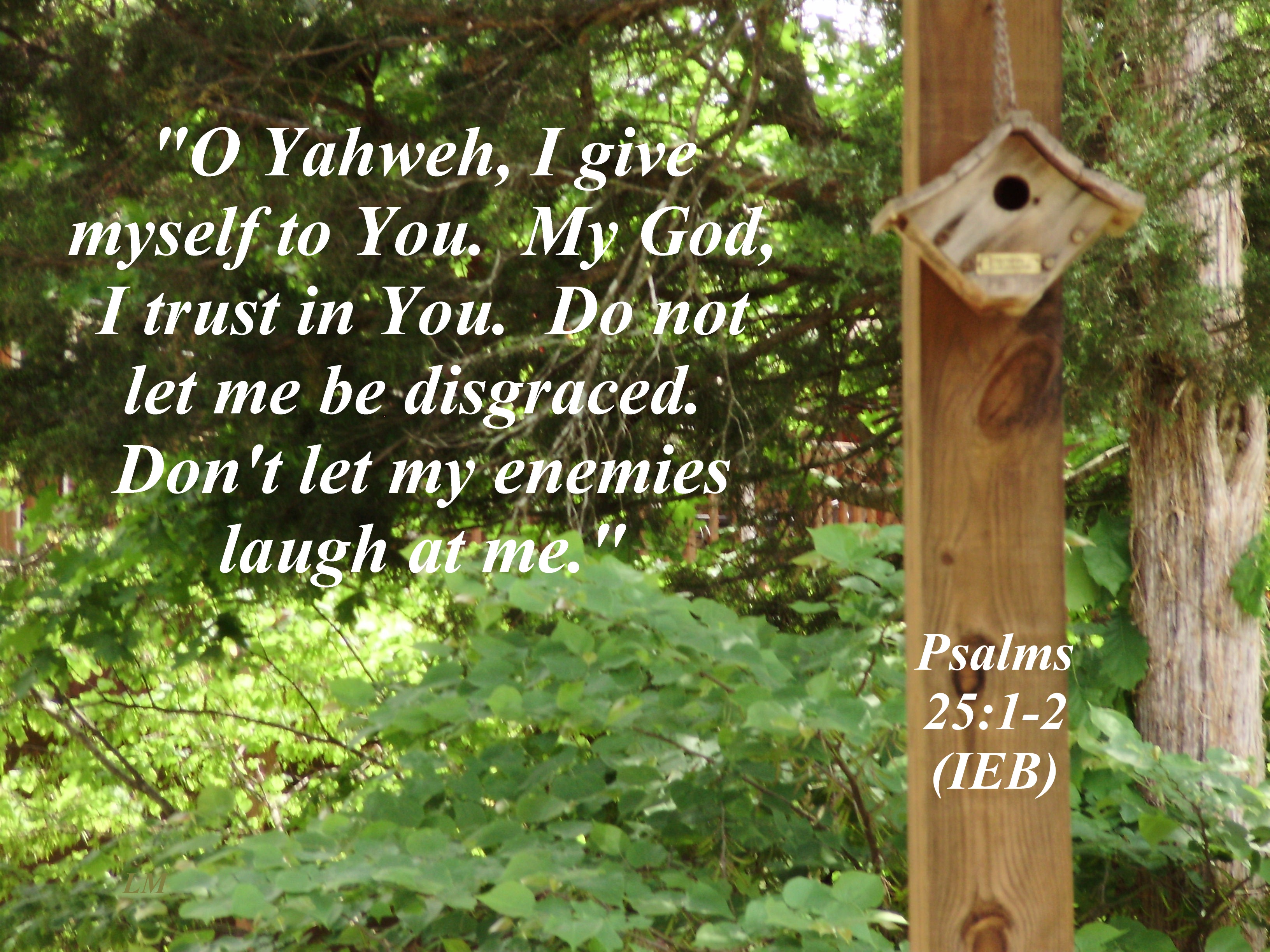 Psalm 25 1 2 Image International English Bible