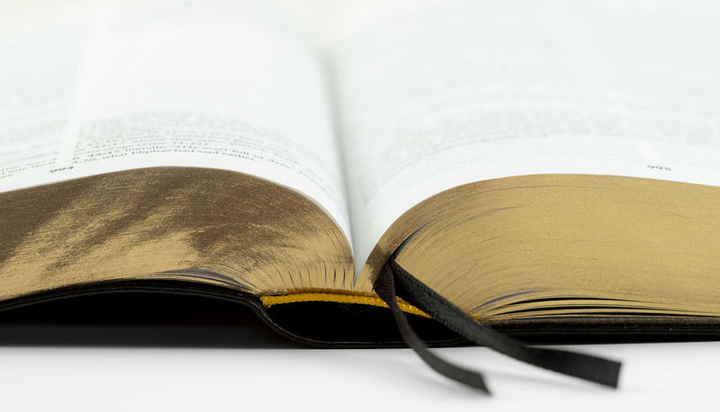 International English Bible (IEB) Second Edition Genuine Leather Open Bible Image